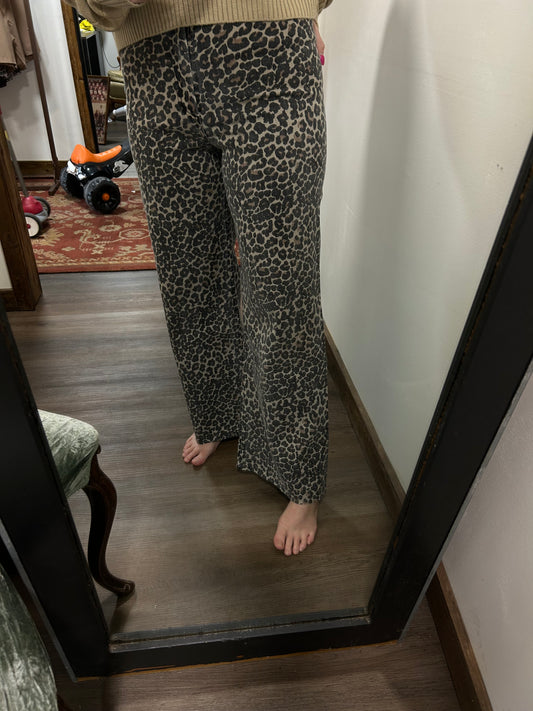 Leopard Print Pants